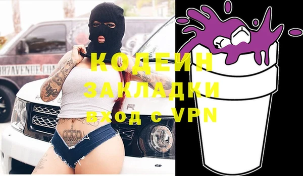 спиды Бородино